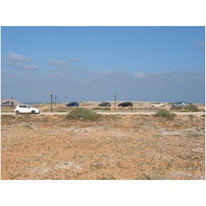 05.jpg